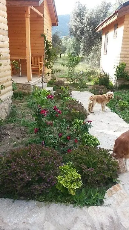 Mihricem Hotel Mesudiye