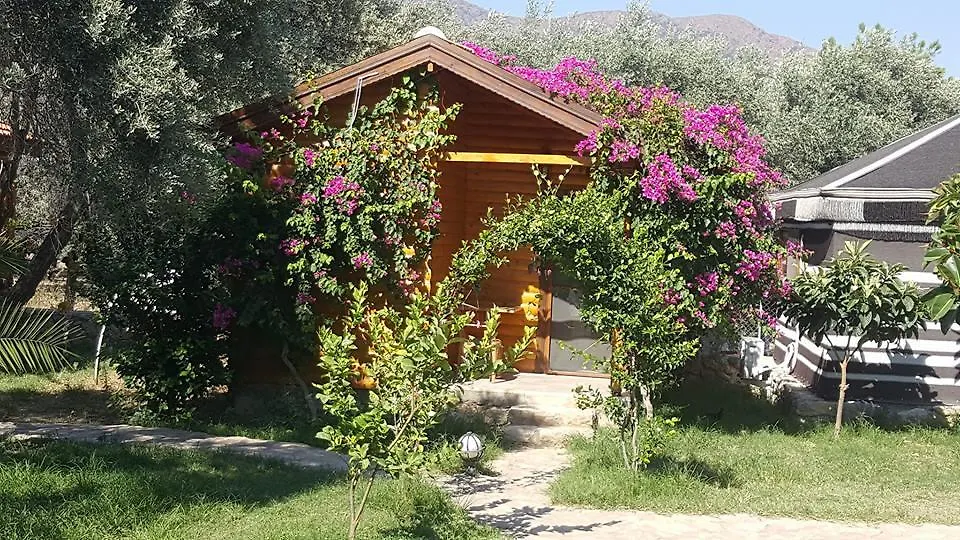 Mihricem Hotel Mesudiye  Turkey