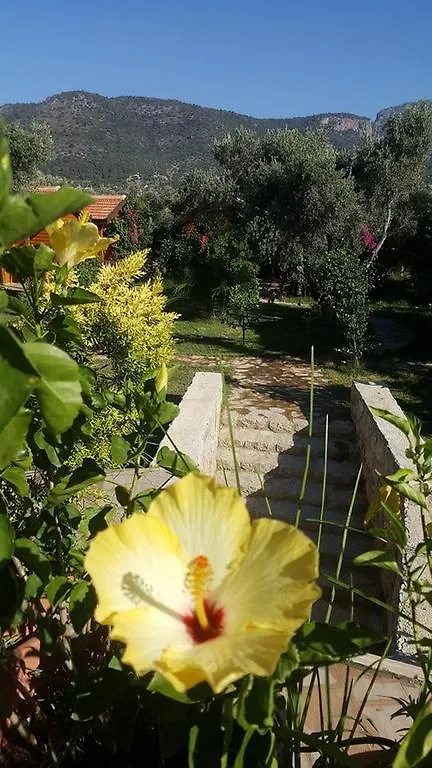 Mihricem Hotel Mesudiye  Mesudiye (Datca)