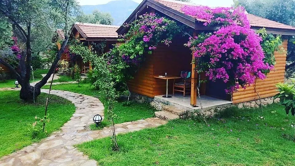 Mihricem Hotel Mesudiye  Turkey